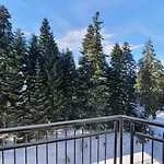 Flora Tmf Borovets