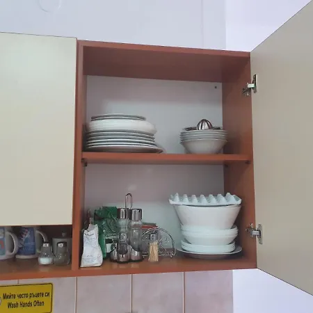 Apartament Flora Tmf Boroveț