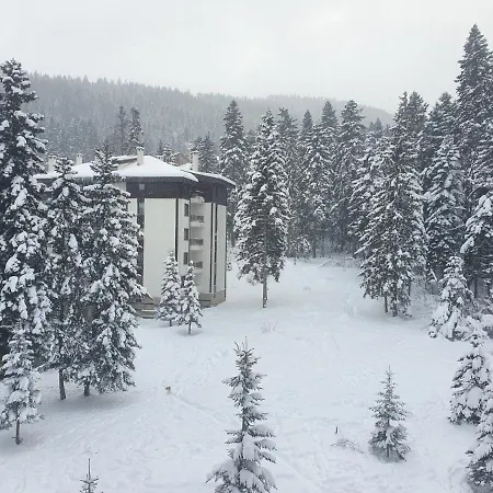 Flora Tmf * Borovets