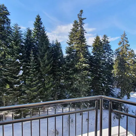 Flora Tmf Боровец