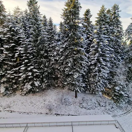 Flora Tmf * Borovets