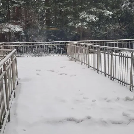 Flora Tmf Апартамент *