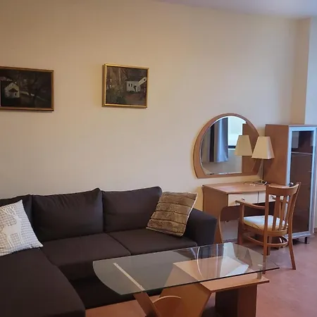 Flora Tmf Апартамент Боровец