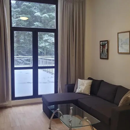 Flora Tmf Апартамент Боровец