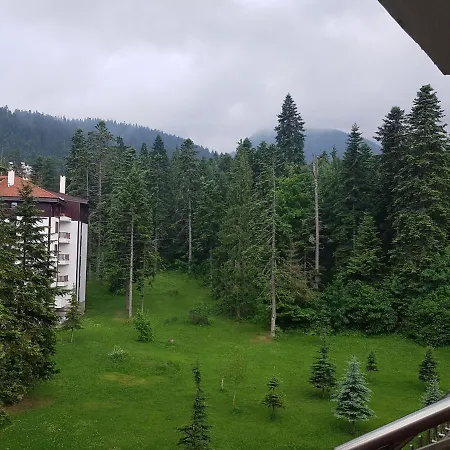 Flora Tmf Borovets