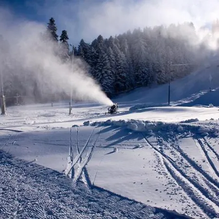 Apartament Flora Tmf *