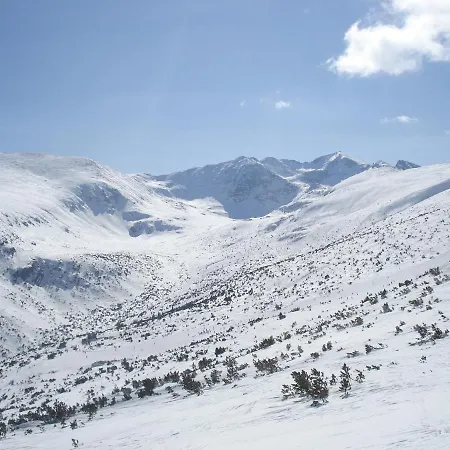 Flora Tmf * Borovets