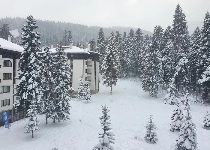 Flora Tmf * Borovets