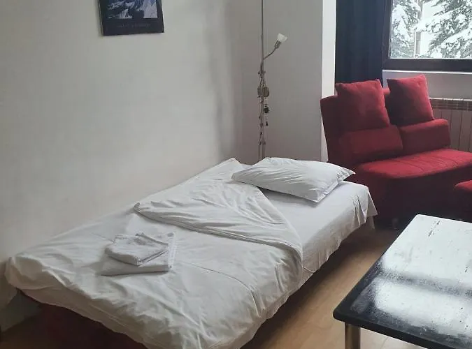 Flora Tmf * Borovets