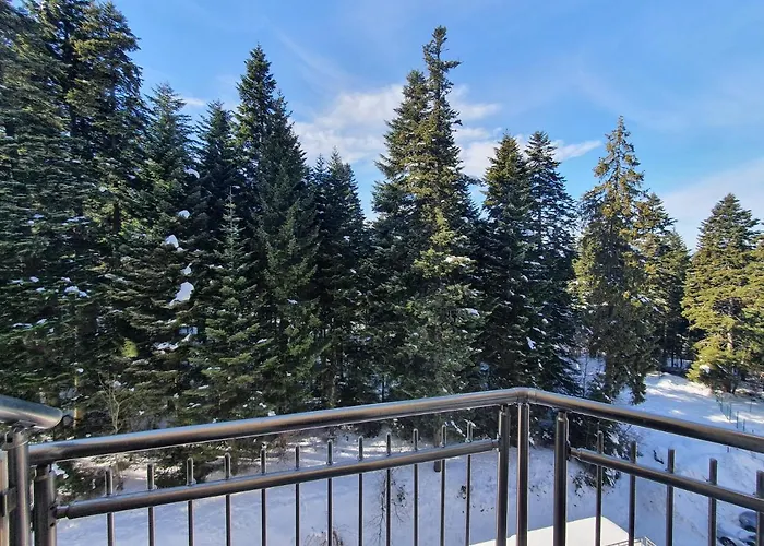 Flora Tmf בורובץ