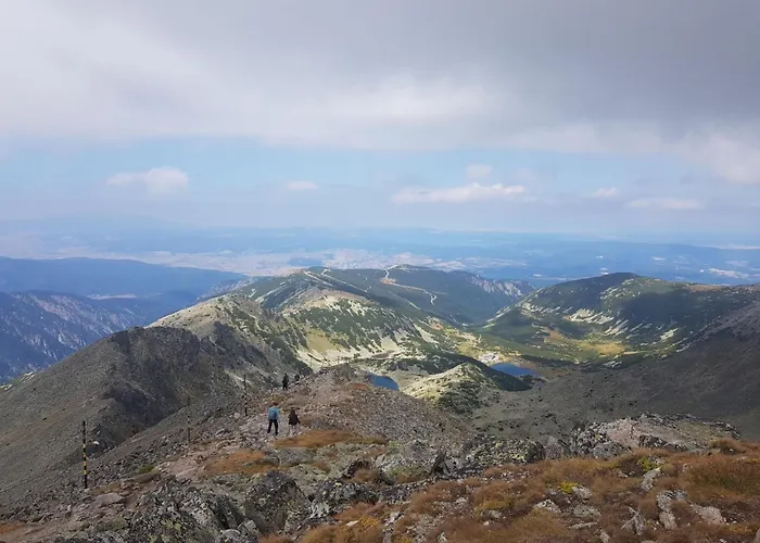 Flora Tmf דירה *