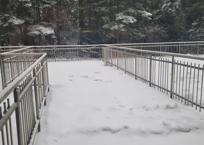 Flora Tmf דירה *