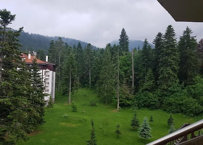 Flora Tmf בורובץ