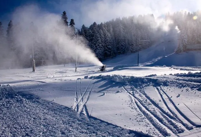 דירה Flora Tmf *